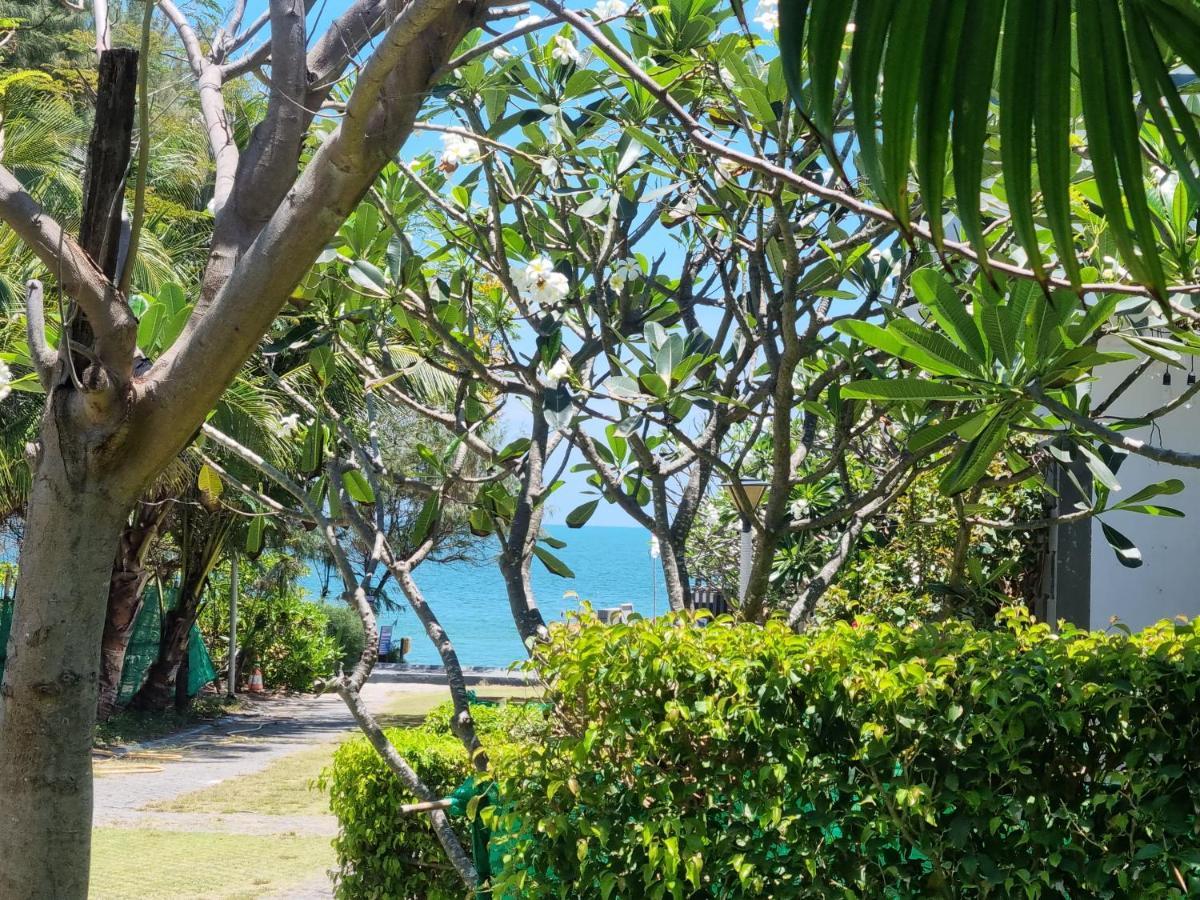 Oceanami Resort Sea View لونغ  هاي المظهر الخارجي الصورة