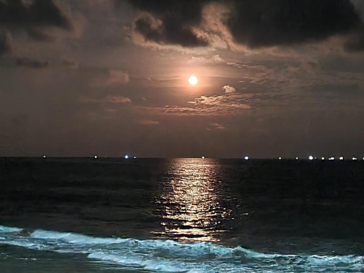Oceanami Resort Sea View لونغ  هاي المظهر الخارجي الصورة