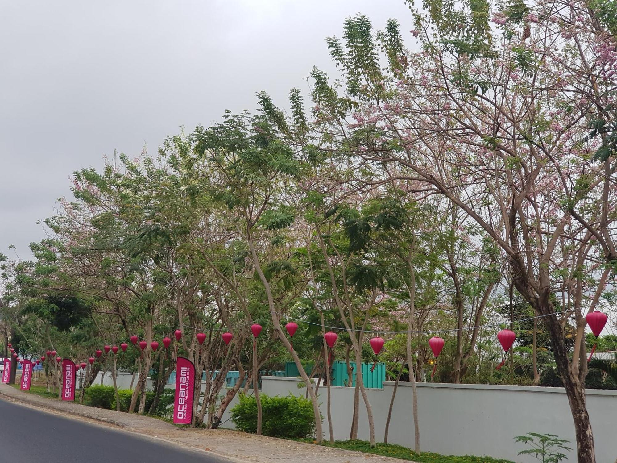 Oceanami Resort Sea View لونغ  هاي المظهر الخارجي الصورة