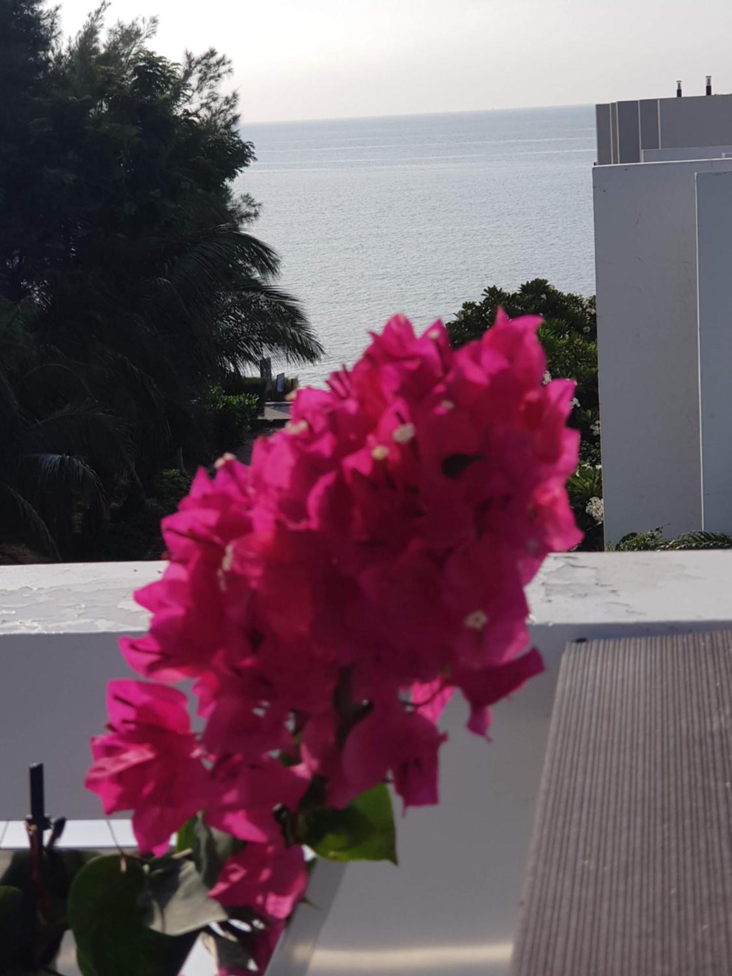Oceanami Resort Sea View لونغ  هاي المظهر الخارجي الصورة