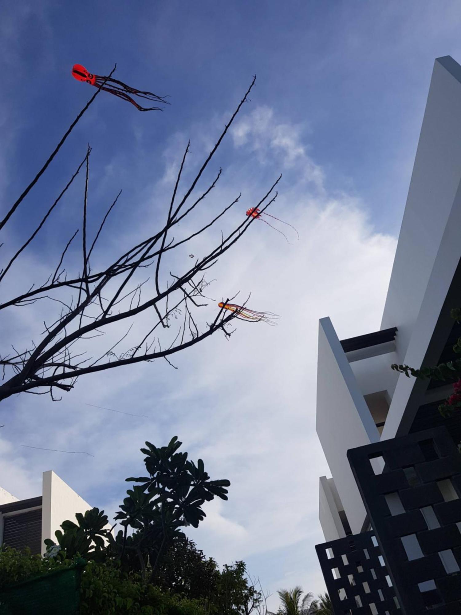 Oceanami Resort Sea View لونغ  هاي المظهر الخارجي الصورة