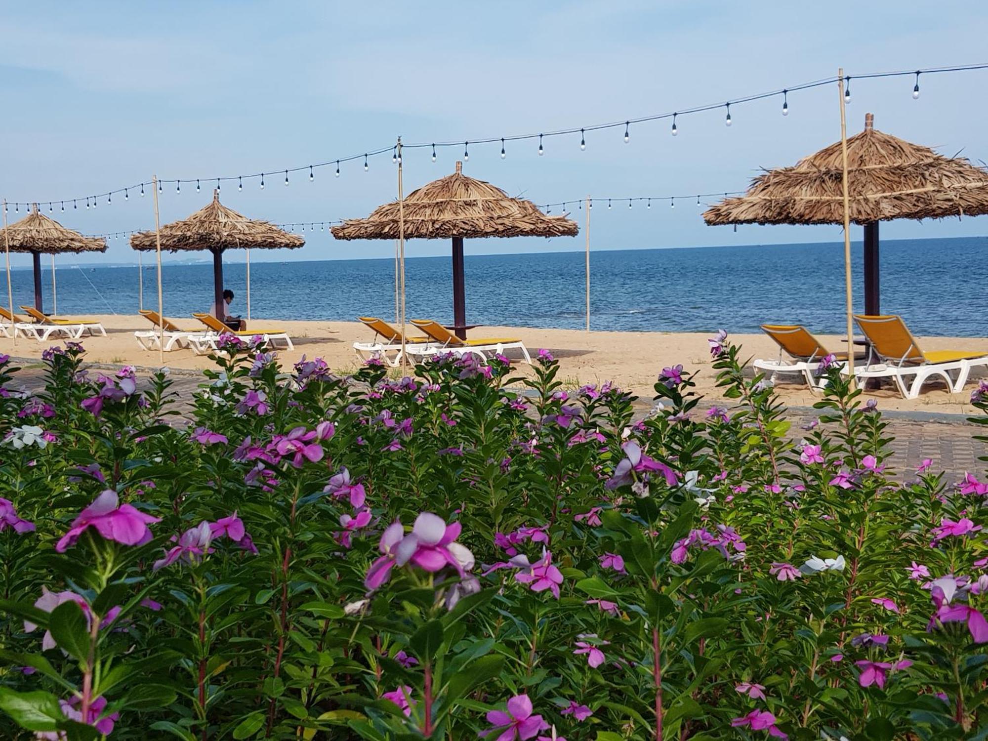Oceanami Resort Sea View لونغ  هاي المظهر الخارجي الصورة
