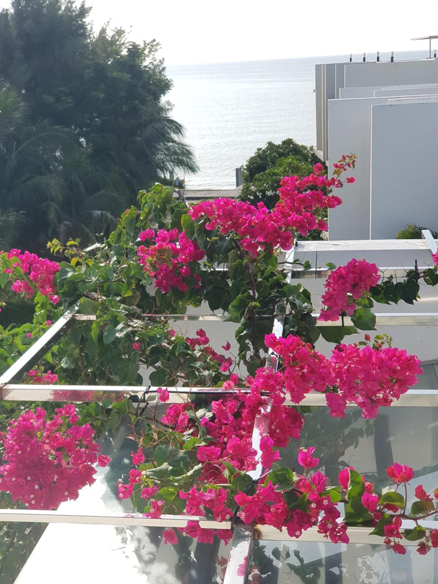 Oceanami Resort Sea View لونغ  هاي المظهر الخارجي الصورة